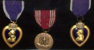 Gilberto's_Purple_hearts(2)