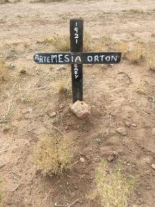 Artimisa Robles Oton